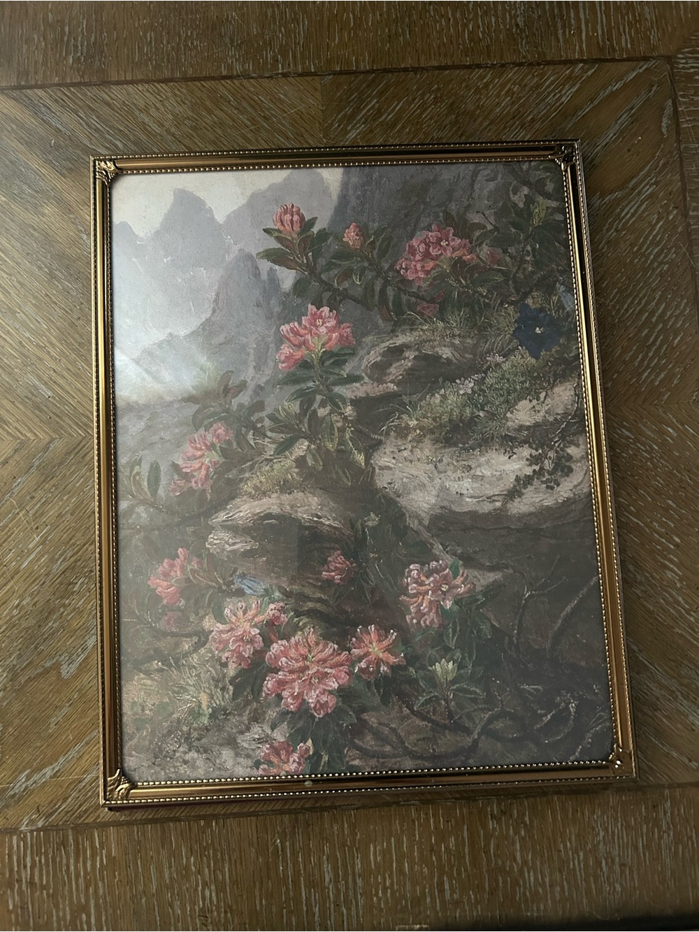 Vintage Ornate 11 x 14 Gilded thin metal picture frame, Alpine Flowers print art